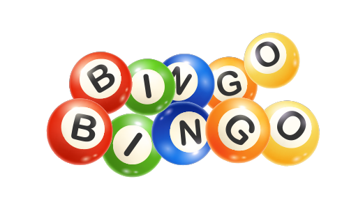 bingo bingo